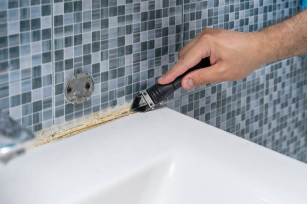Best Black Mold Removal  in Philipsburg, PA