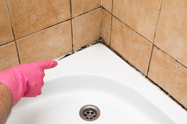 Best Attic Mold Removal  in Philipsburg, PA